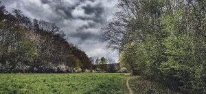 Landschaftsaufnahmen