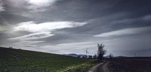 Landschaftsaufnahmen