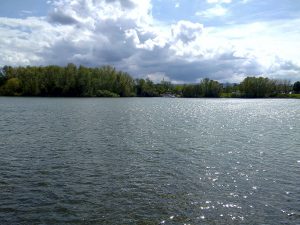 Vienenburg