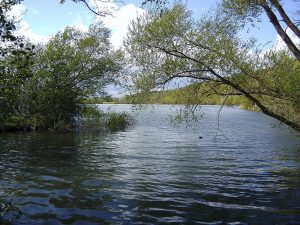 Vienenburg
