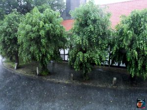 Schlewecke