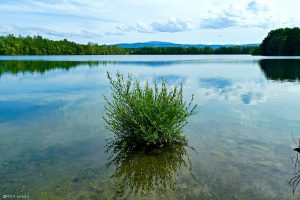 Natursee
