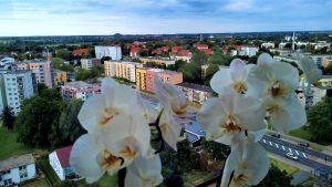 Salzgitter
