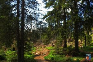 Oderteich