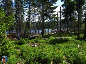 Oderteich