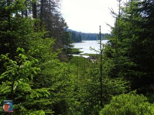Oderteich