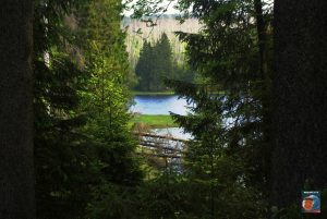 Oderteich