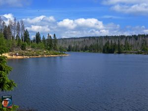 Oderteich