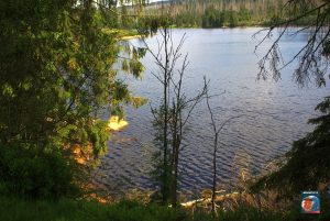 Oderteich