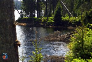 Oderteich