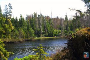 Oderteich