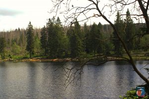 Oderteich