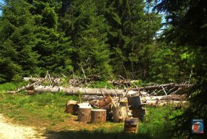 Oderteich
