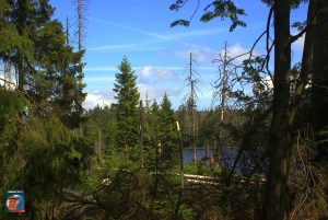 Oderteich