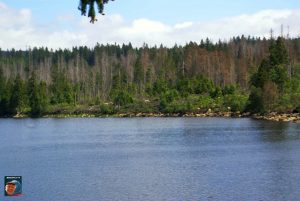 Oderteich