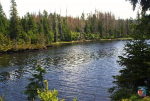 Oderteich