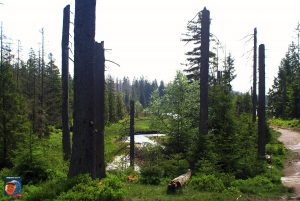 Oderteich