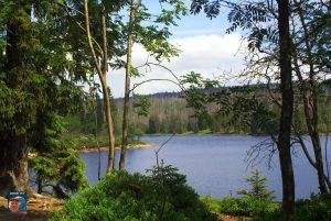 Oderteich