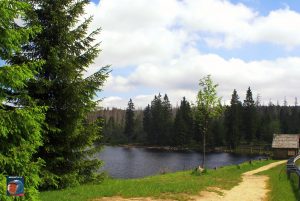 Oderteich