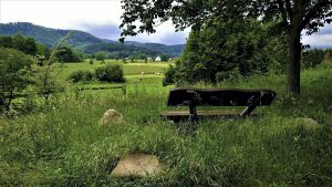 Langenberg