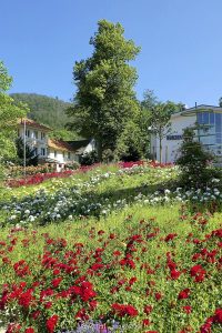 Kurzentrum