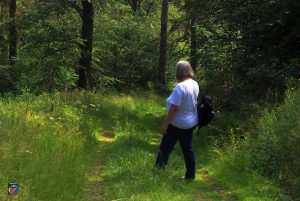 Wandern