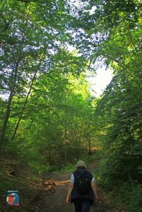 Natur