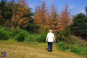 Wandern