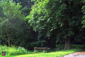Natur