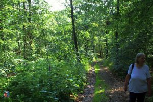Natur