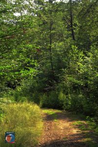 Natur