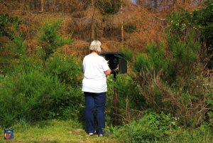 Wandern