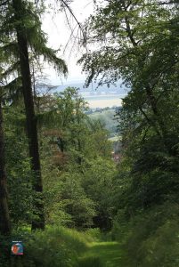 Natur