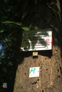 Wandern