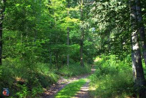Natur