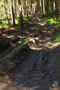 Jägersbleeker Teich