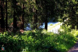 Jägersbleeker Teich
