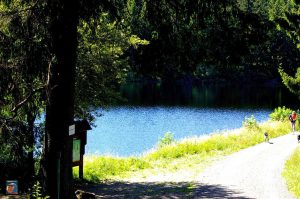 Jägersbleeker Teich