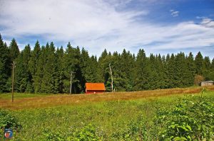 Jägersbleeker Teich