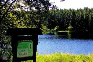 Jägersbleeker Teich