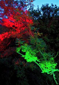 Salz- und Lichterfest