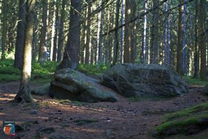 Dreibodesteine