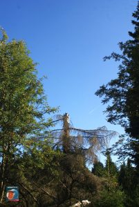Dreibodesteine