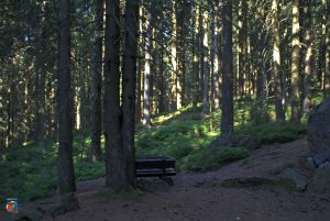 Dreibodesteine