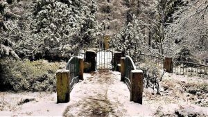 Ehrenfriedhof