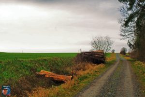 Gipskule