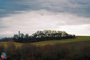 Gipskule