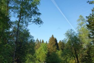 Kuttelbacher Teich