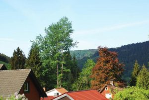 Bielstein