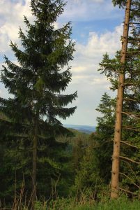 Tränkebachhütte